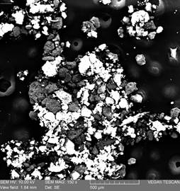 Residuos en los filtros de inyector de la gasolina extra, 150x