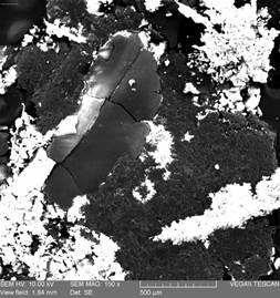 Residuos de gasolina al 5 % etanol, 150x