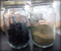 Mucílago deshidratado