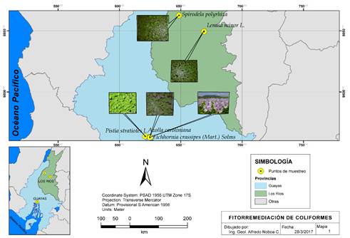 &Aacute;rea de estudio donde se muestran los sitios de colecta de las plantas acu&aacute;ticas.