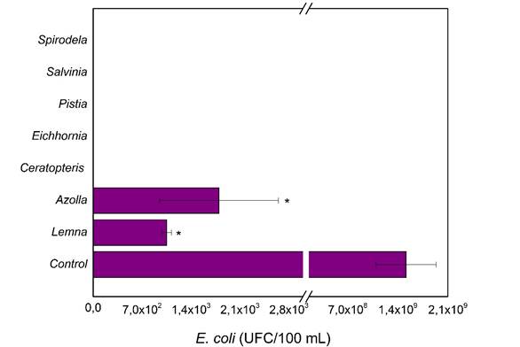 Efecto del bioensayo con diferentes especies de plantas sobre la concentraci&oacute;n de E. coli. Los resultados se muestran como medias &plusmn; desviaci&oacute;n est&aacute;ndar. * Indica que existen diferencias significativas en comparaci&oacute;n con el control seg&uacute;n Kruskall-Wallis (p<0,05).