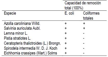 Inventario de plantas acu&aacute;ticas recomendadas para remover coliformes totales y E. coli de aguas servidas.