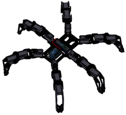 Extremidad del Robot Hex&aacute;podo.