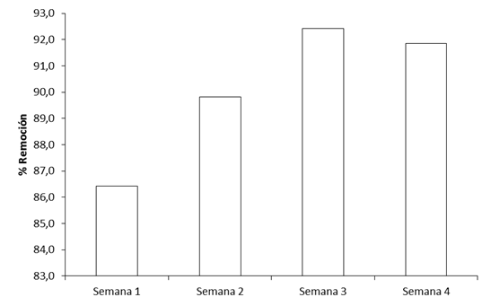 Porcentaje de remoci&oacute;n del hidrocarburo total de petr&oacute;leo con la aplicaci&oacute;n de microorganismos en las aguas residuales de la Lubricadora Puyango, 2016.