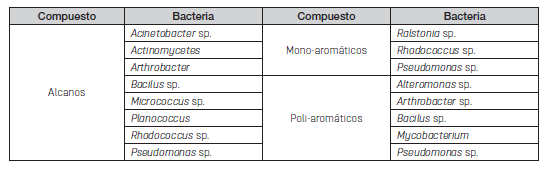 Bacterias degradadoras de hidrocarburos