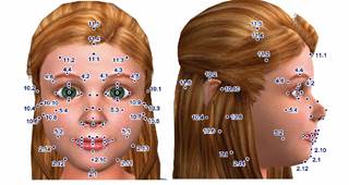 Feature Points (FPs) applied to the avatar.