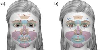 avatar in iClone, showing: a) FAP codification of MPEG-4 system and b) AUs of FACS.