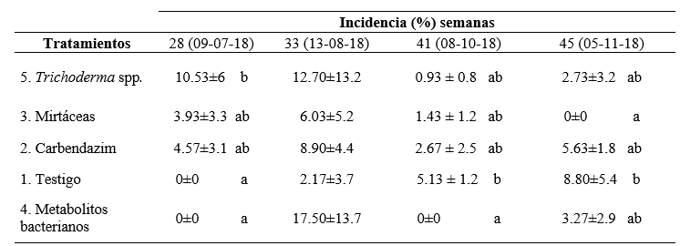 Incidencia de Botrytis sp en los frutos de mora de castilla despu&eacute;s de la aplicaci&oacute;n de productos de diferentes or&iacute;genes en los Andes del Ecuador