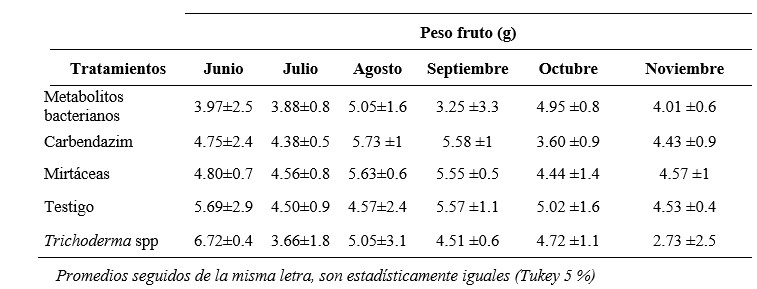 Peso del fruto de mora de castilla despu&eacute;s de la aplicaci&oacute;n de productos de diferentes or&iacute;genes en los Andes del Ecuador