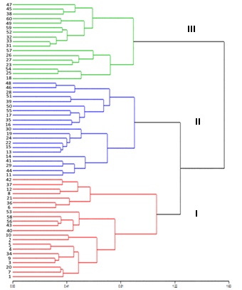 Dendrogram obtained by Ward's hierarchical grouping of the quantitative and qualitative morphological descriptors of 60 in situ germplasm accessions of soursop from the central regions of ecuadorian littoral. Cofenetics correlation r = 0.57