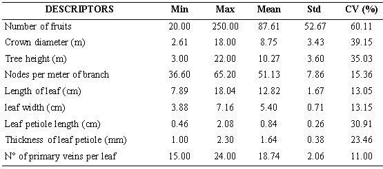 Quantitative morphological descriptors of the 60 soursop accessions characterized in situ in southern of Manab&iacute;