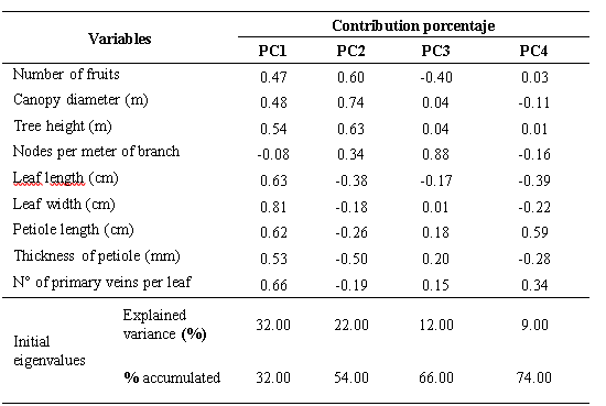Variability explained in the PCA for the quantitative morphological descriptors.