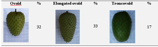 Predominant forms of the fruits of in situ soursop germplasm from southern of Manab&iacute;, Ecuador.