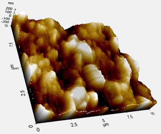 Rugosidad de la olla I de un solo uso determinada mediante AFM