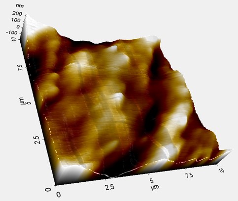 Rugosidad final de la olla luego de siete usos determinada mediante AFM