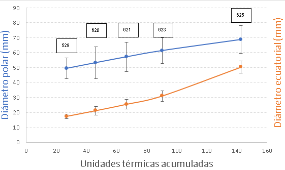 Incremento del di&aacute;metro polar y ecuatorial mm de los racimos florales de guaba desde bot&oacute;n hasta antesis en funci&oacute;n de la acumulaci&oacute;n de unidades t&eacute;rmicas en el valle de Nay&oacute;n n120
