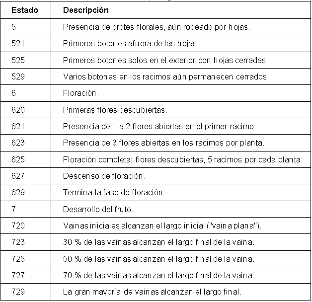 Codificaci&oacute;n escala BBCH para guaba