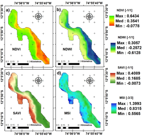 Análisis del bosque de Polylepis spp mediante los valores mínimos y máximos de los índices de vegetación, durante 9 meses en el periodo 2018 - 2019. Figura 3: a) menciona el estado fitosanitario; b) contenido de agua; c) erosión del suelo; y d) estrés hídrico del bosque. Tamaño de celda/pixel 30x30m aplicando técnica de remuestreo de visualización interpolación bilineal.
