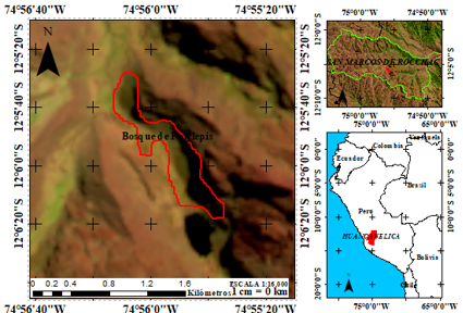 Mosaico bandas espectrales 6,5 y 4 “Análisis de Vegetación”, Polylepis (limite rojo).