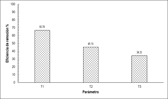 Porcentaje de remoci&oacute;n de SST