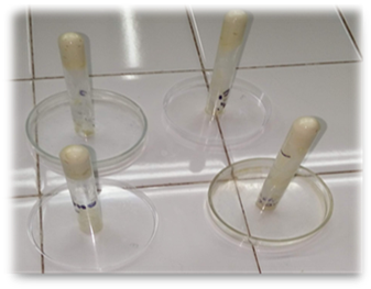 Estabilidad térmica de las emulsiones gelificadas