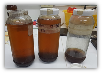 Muestras de Lixiviado del Basurero No controlado de la ciudad de Veracruz