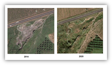 Sitio de disposici�n final abandonado del municipio Puente Nacional en la comunidad de Chichicaxtle, im�genes de Google Earth