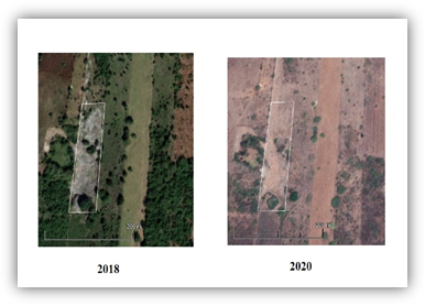 Sitio de disposici�n final abandonado del municipio Tlalixcoyan en la comunidad de Mata Verde, im�genes de Google Earth