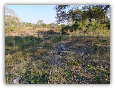 Sitio de disposici�n final abandonado en Mata Verde Tlalixcoyan