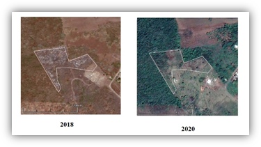 Sitio de disposici�n final abandonado del municipio Manlio Fabio Altamirano en la comunidad de La Plataforma, im�genes de Google Earth