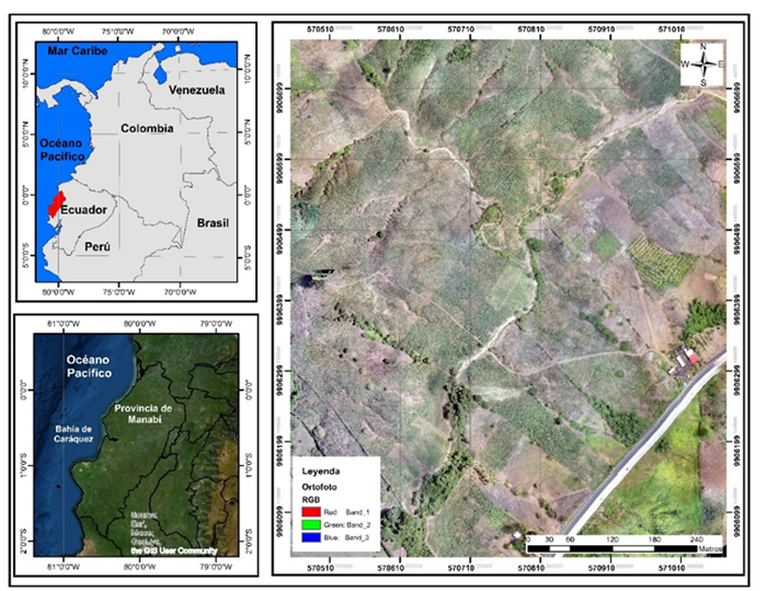 Ubicacin del rea de estudio