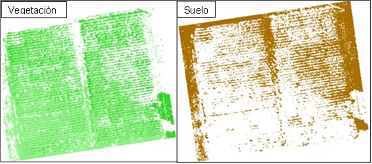 Clasificacin de la nube de puntos en zonas de cobertura vegetal, y suelos a la izquierda y derecha respectivamente