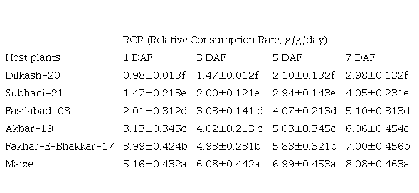 Relative Consumption Rate MeansSE of Spodoptera Frugiperda Feeding on Different Wheat Varieties in Comparison to Maize
