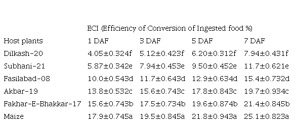 Relative Efficiency of Conversion of Ingested Food MeansSE of Spodoptera Frugiperda Feeding on Different Wheat Varieties in Comparison to Maize