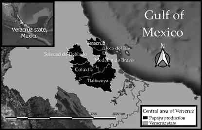 Papaya producing area of the central gulf of Veracruz, Mexico