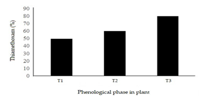 Presence of thiamethoxam in papaya plant in rotation with watermelon. T1 = Watermelon cultivation, T2 = After transplanting, T3 = Papaya fruit production