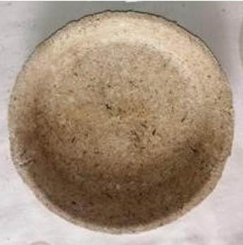 Prototype of a plate made from sugarcane bagasse.