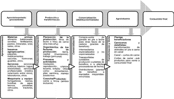 Figura N&ordm; 2. Cadena agroproductiva del sector ganadero