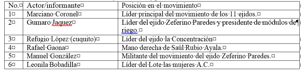 Actores del movimiento (informantes)