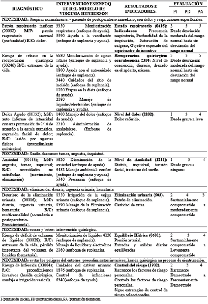 Cuidados de enfermer&iacute;a en un paciente adulto mayor sometido a prostatectom&iacute;a. Riobamba, 2017