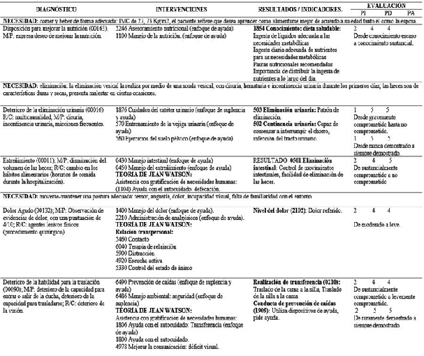 Cuidados domiciliarios a un paciente adulto mayor con deterioro de la eliminaci&oacute;n urinaria post-prostatectom&iacute;a, basado en el Modelo de Virginia Henderson y la Teor&iacute;a de Jean Watson. Riobamba, 2017.