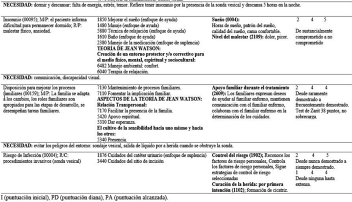 Cuidados domiciliarios a un paciente adulto mayor con deterioro de la eliminaci&oacute;n urinaria post-prostatectom&iacute;a, basado en el Modelo de Virginia Henderson y la Teor&iacute;a de Jean Watson. Riobamba, 2017.
