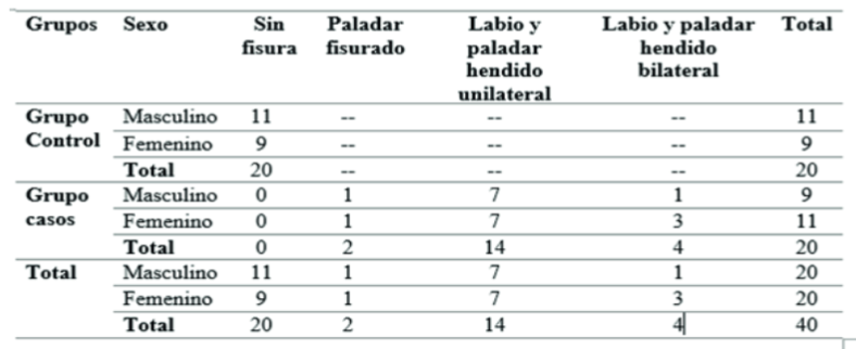 Tipo de fisura facial