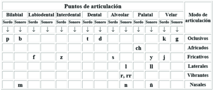 Puntos de articulación de fonemas consonantes
