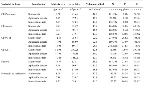 Materia seca de parte aérea, área foliar, raíz y acumulación de macronutrientes en la parte aérea de cinco variedades de fresa desarrolladas en un suelo con pH 8.8 y tratadas con dos tipos de inoculación bacteriana.