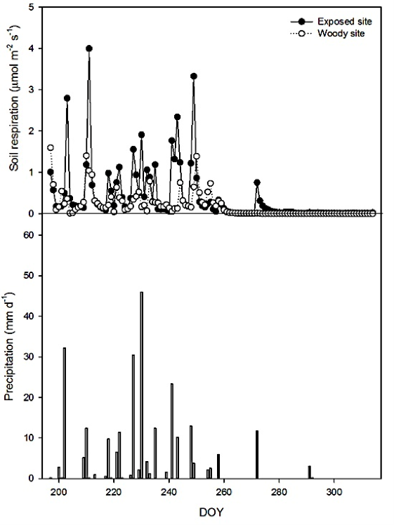 Seasonal variation of RS in a subtropical shrubland of Sonora. Estimates of RS were conducted with the gradient method during the rainy season of 2012 (Robles-Zazueta et al., 2014).