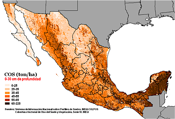 Distribución espacial del COS a la profundidad de 0 a 30 cm para el año base 2007.