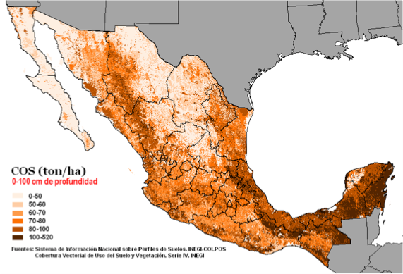 Distribución espacial del COS a la profundidad de 0 a 100 cm para el año base 2007.