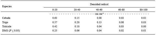 Densidad radical en los estratos de 0-20, 20-40, 40-60, 60-80 y 80-100 cm, de los cultivos de cebada, trigo y triticale en condiciones de secano, en el ciclo oto&ntilde;o-invierno 2013-2014. San Crist&oacute;bal Suchixtlahuaca, Oaxaca