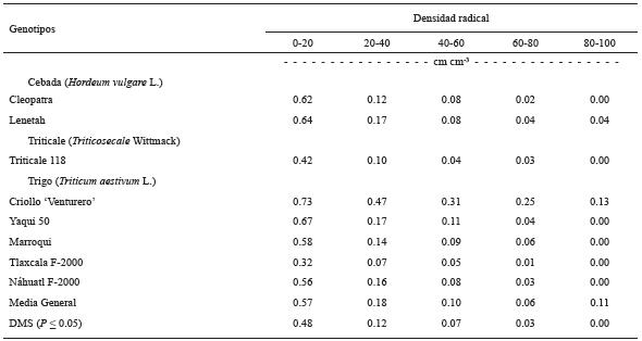 Densidad radical en los estratos de 0-20, 20-40, 40-60, 60-80 y 80-100 cm, de los cultivos de cebada, trigo y triticale en condiciones de secano, en el ciclo oto&ntilde;o-invierno, 2013-2014. San Crist&oacute;bal Suchixtlahuaca, Oaxaca.